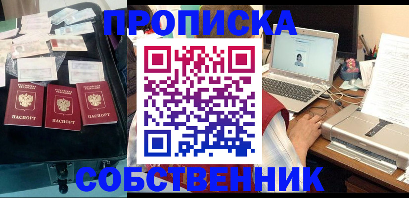 регистрация для дет. сада в Камчатском крае